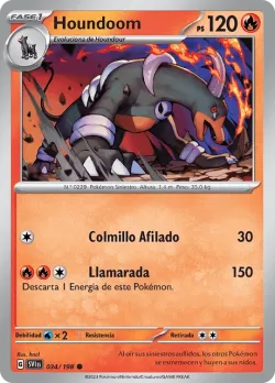 Houndoom #034/198 · Pokémon