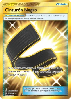 Karate Belt 「UNM 252」「ES」