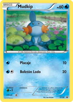 Mudkip 「XYP 038」 · Pokémon