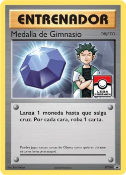 Gym Badge 「XYP 203」「ES」