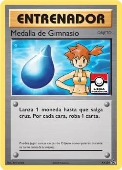 Gym Badge 「XYP 204」「ES」