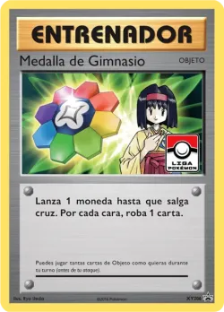 Gym Badge 「XYP 206」「ES」