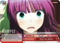 After the Battle 「AB/W31-E101」「EN」