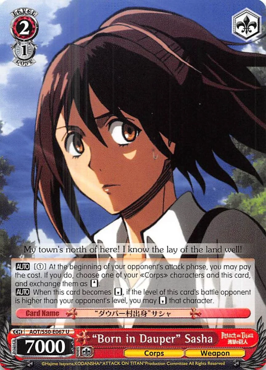 "Born in Dauper" Sasha 「AOT/S50-E067」「EN」