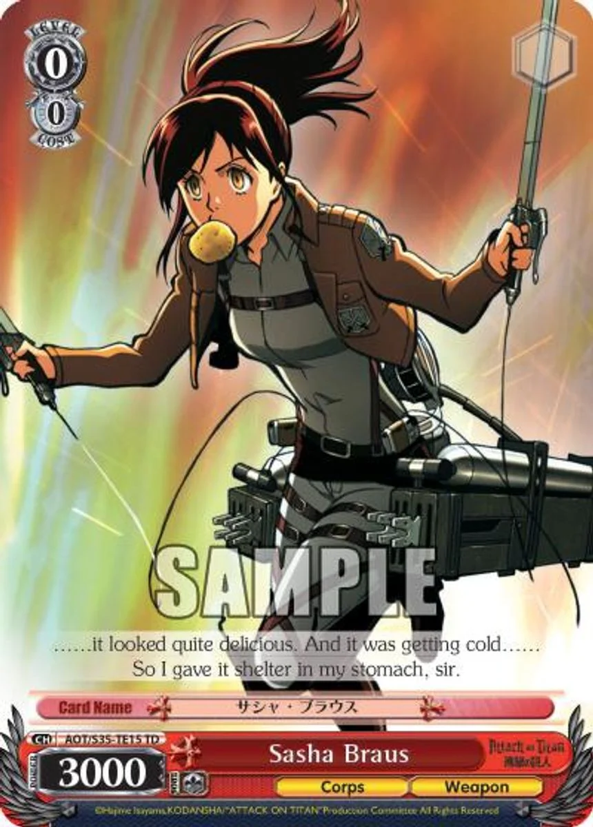 Sasha Braus 「AOT/S35-TE15」「EN」