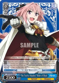 "The Twelve Paladins" Rider of Black 「APO/S53-E078」「EN」