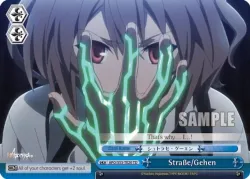 Stra?e/Gehen 「APO/S53-TE20」「EN」