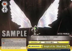 Knight of the《Black King》 「AW/S18-TE10」「EN」