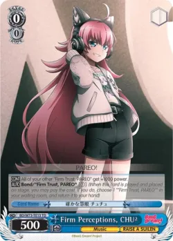 Firm Perceptions, CHU2 「BD/W73-TE13」「EN」
