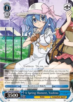 A Spring Moment, Yoshino 「DAL/W79-E088」「EN」