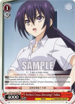 Perfect Cross-Dressing? Tohka 「DAL/W99-E066」「EN」
