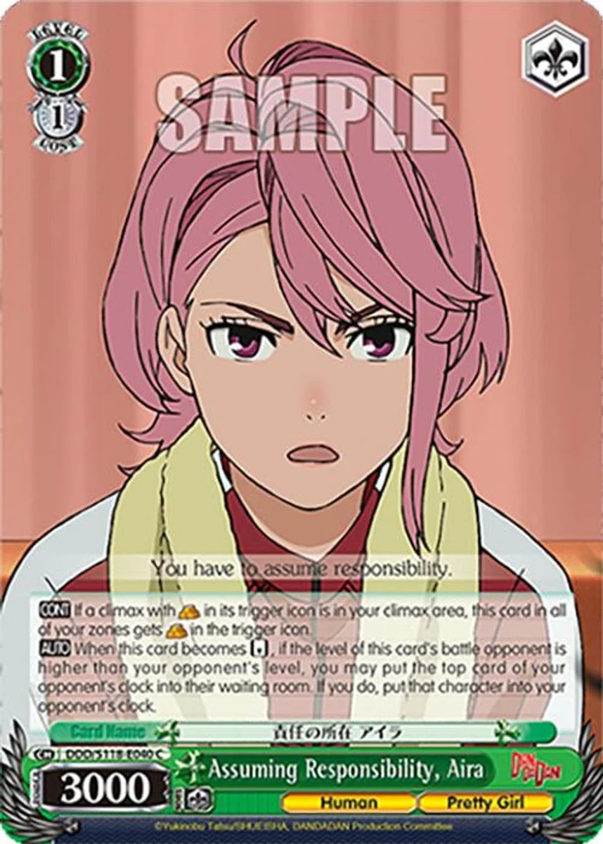 Assuming Responsibility, Aira 「DDD/S118-E040」「EN」