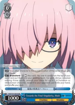 Towards the Final Singularity, Mash 「FGO/S75-E076」「EN」
