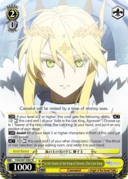 In the Name of the King of Storms, The Lion King #FGO/S87-E007 · Weiss Schwarz