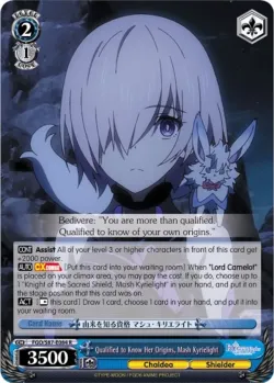 Qualified to Know Her Origins, Mash Kyrielight 「FGO/S87-E084」「EN」