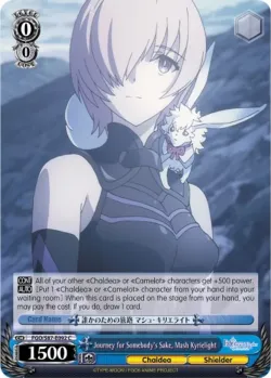 Journey for Somebody's Sake, Mash Kyrielight 「FGO/S87-E092」「EN」
