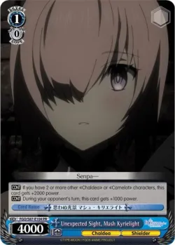 Unexpected Sight, Mash Kyrielight 「FGO/S87-E104」「EN」