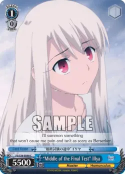 “Middle of the Final Test” Illya 「FS/S36-E090」「EN」