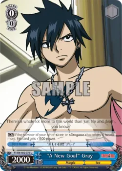 "A New Goal" Gray 「FT/S02-076」「EN」