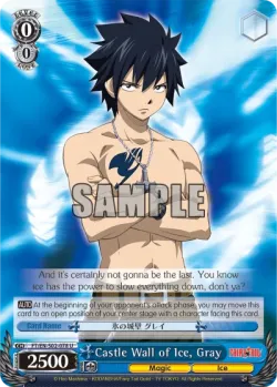 Castle Wall of Ice, Gray 「FT/S02-078」「EN」