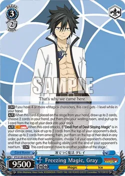 Freezing Magic, Gray 「FT/S120-E076」「EN」