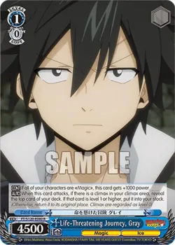 Life-Threatening Journey, Gray 「FT/S120-E080」「EN」