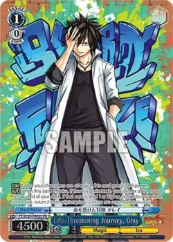 Life-Threatening Journey, Gray 「FT/S120-PE02S」「EN」