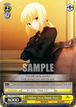 Saber in a Dark Suit 「FZ/S17-E102」「EN」