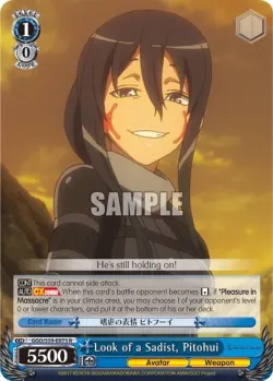 Look of a Sadist, Pitohui 「GGO/S59-E075」「EN」