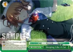 Sleeping Like A Cat 「GRI/S72-TE09」「EN」