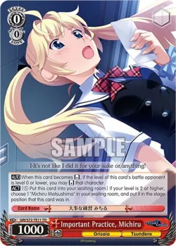 Important Practice, Michiru 「GRI/S72-TE11」「EN」