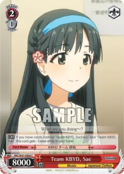 Team KBYD, Sae 「IMC/W41-E068」「EN」