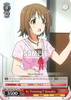 In Training!? Kanako 「IMC/W41-TE27」「EN」