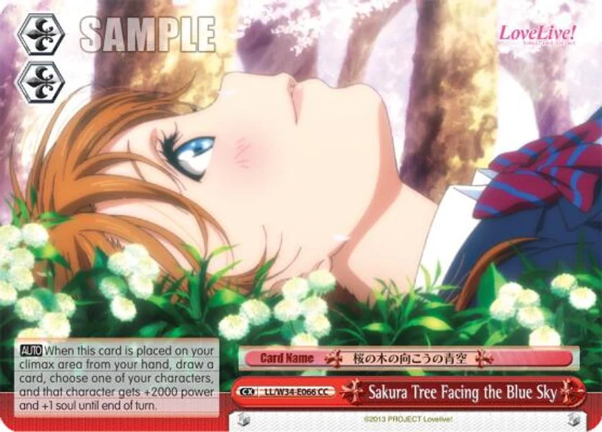Sakura Tree Facing the Blue Sky 「LL/W34-E066」「EN」