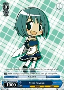 Mini Sayaka 「MM/W17-E110」「EN」