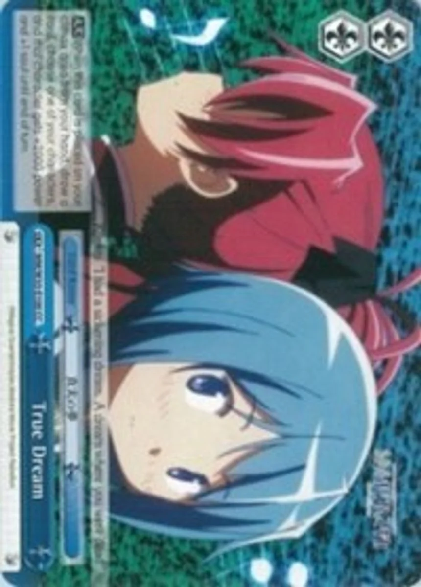 True Dream 「MM/W35-E100」「EN」