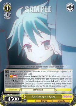 Adolescent Sora #NGL/S58-E010 · Weiss Schwarz