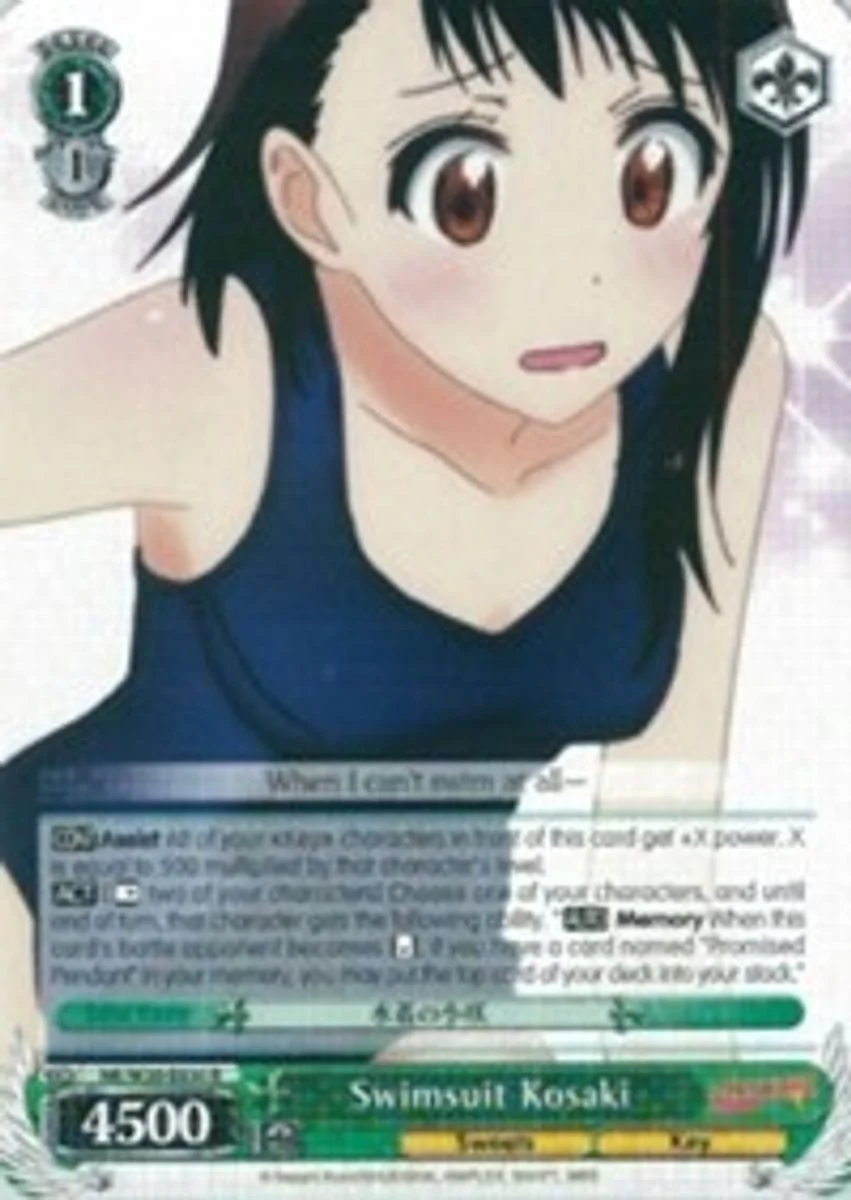 Swimsuit Kosaki 「NK/W30-E030」「EN」