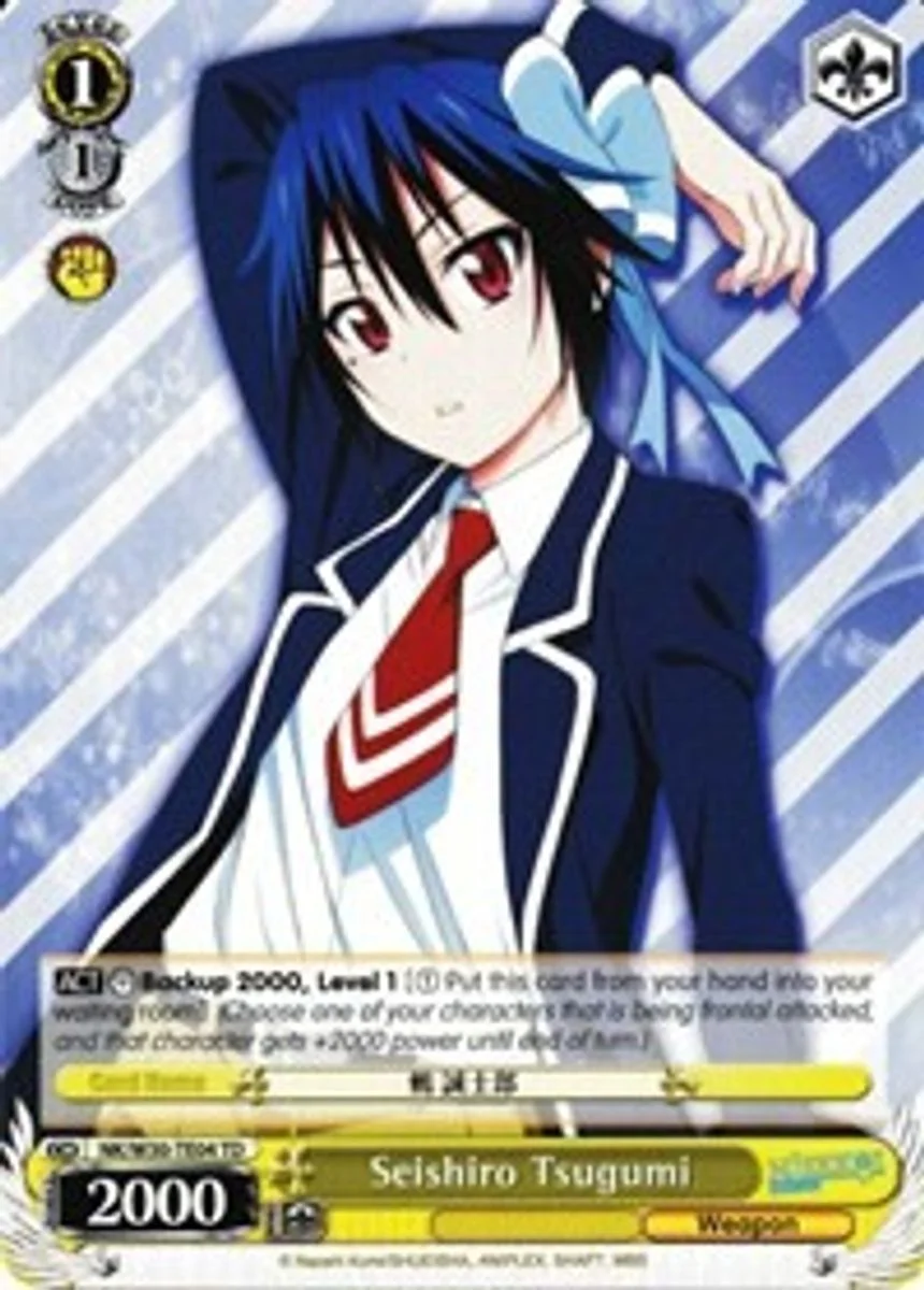 Seishiro Tsugumi 「NK/W30-TE04」「EN」