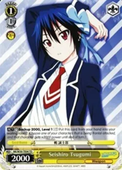 Seishiro Tsugumi 「NK/W30-TE04」「EN」