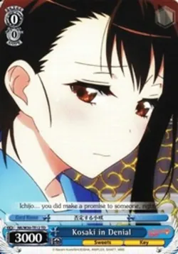 Kosaki in Denial 「NK/W30-TE12」「EN」