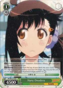 Haru Onodera 「NK/WE22-E18」「EN」