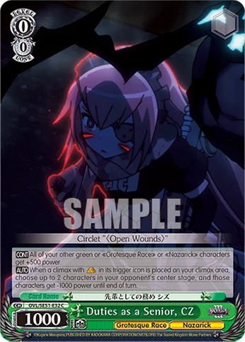 Duties as a Senior, CZ 「OVL/SE51-E32」「EN」