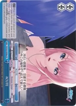 ACUTE 「PD/S22-E098a」「EN」