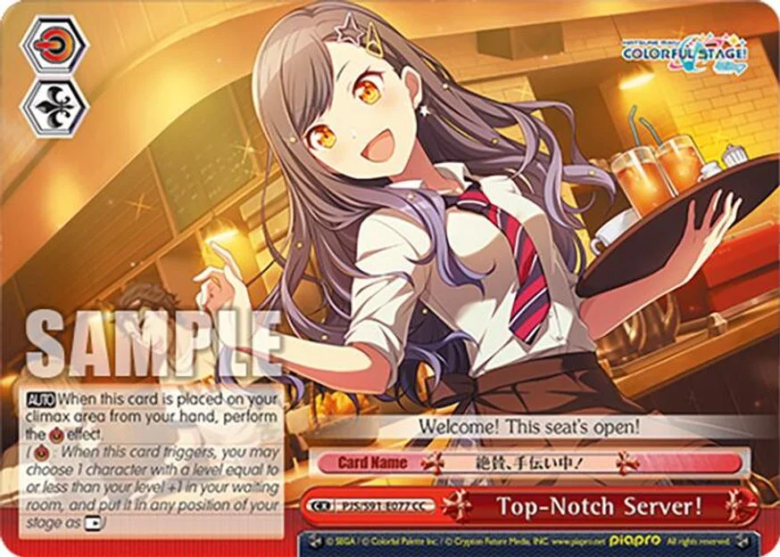 Top-Notch Server! 「PJS/S91-E077」「EN」