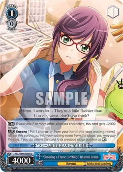"Choosing a Frame Carefully" Hoshimi Junna 「RSL/S69-E080」「EN」