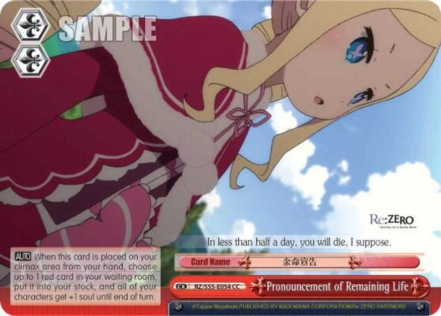 Pronouncement of Remaining Life 「RZ/S55-E054」「EN」