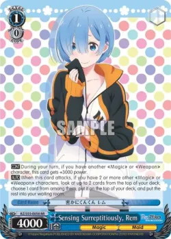 Sensing Surreptitiously, Rem 「RZ/S55-E058」「EN」