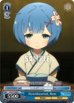 Downhearted, Rem 「RZ/S55-E088」「EN」