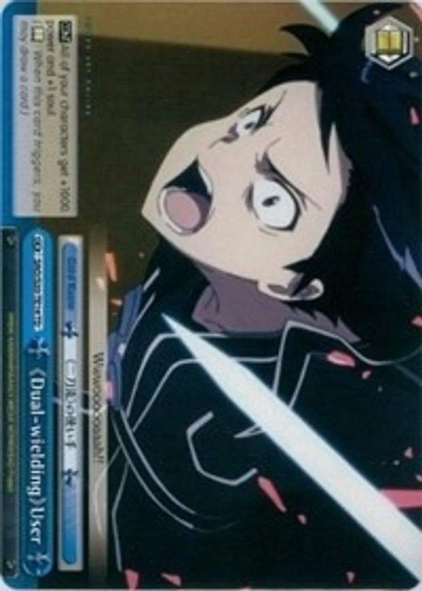 <<Dual-wielding>> User 「SAO/S20-TE14」「EN」